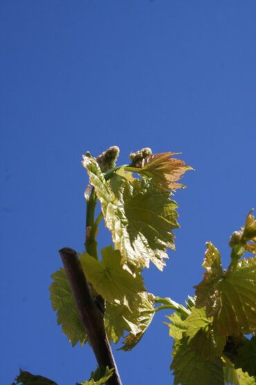 Just thrice more!  –  2019/13