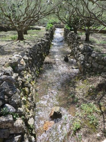 Tornado warning  –  2019/20