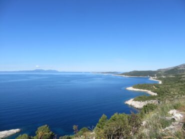 What happens when the wheel comes off – 2019/23