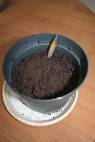 The end of May  –  2019/22