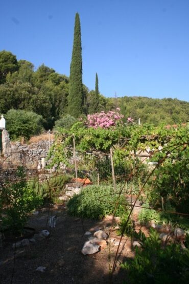 Toad in the hole  –  2019/27