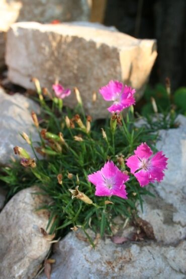 Under the weather  –  2019/30-31