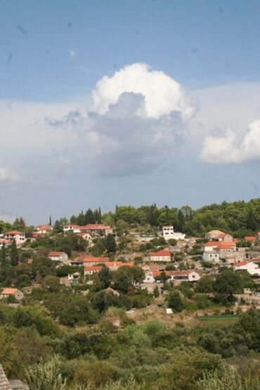 Hyena in the garden  –  2019/36