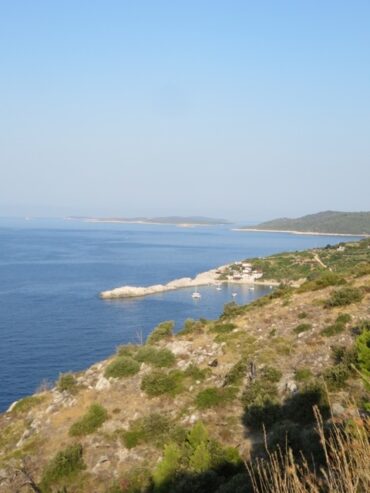 Warped minds 2019/37