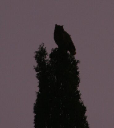 New Kit on the block  –  2019/41