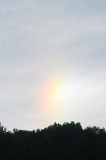 Elbow grease  –  2019/44