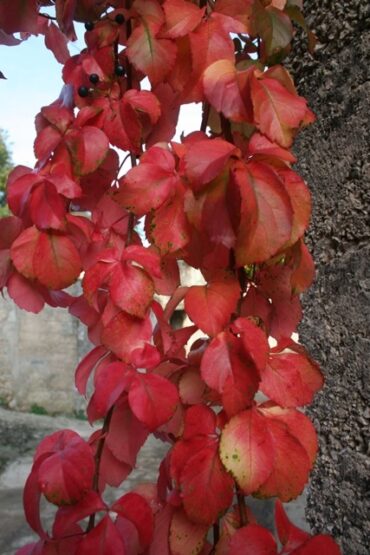 Earth, we have a problem  –  2019/45