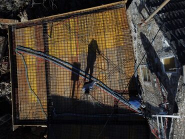 Kumquat with me  –  2020/07