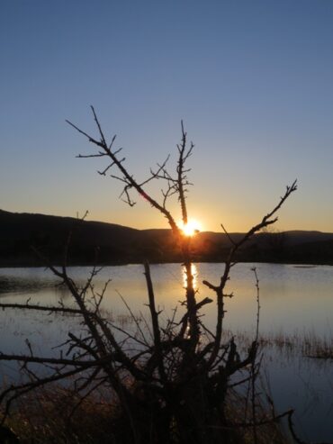 Silence is golden  –  2020/08