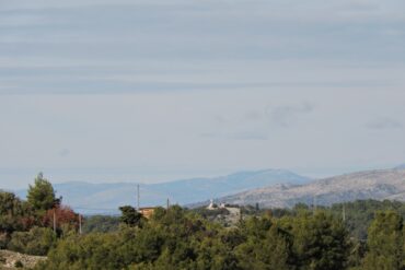 This week’s riddle  –  2020/49