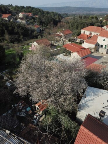 Graded grains make finer flour  –  2021/08