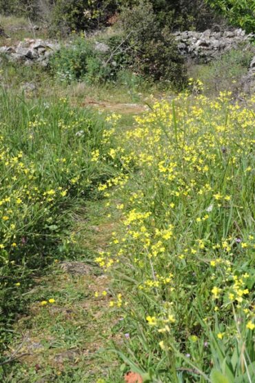 In the Konoba  –  2021/14