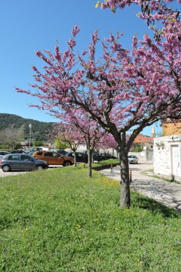 Nothing cracked, nothing broken  –  2022/16