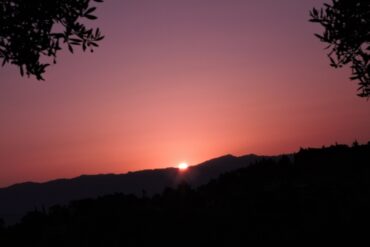 Insects a plenty  –  2022/25