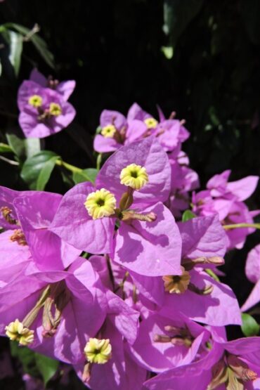 Half full or empty?  –  2022/26