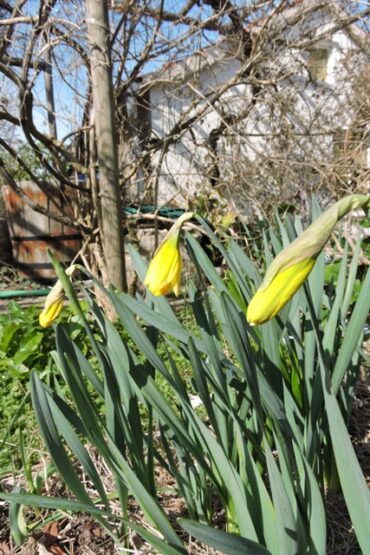 Glued, screwed and bolted into place  –  2023/08