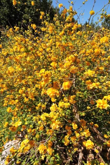 The first three months  –  2023/13