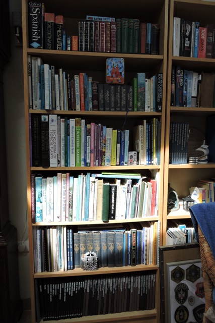 Sunshine on the bookcases