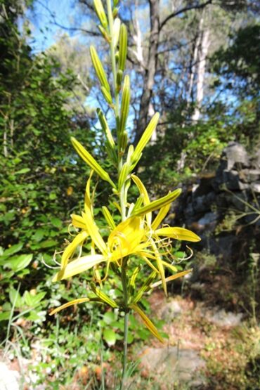 But not here!  –  2023/27