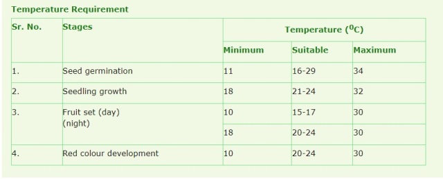 Cardinal temperatures for tomatoes