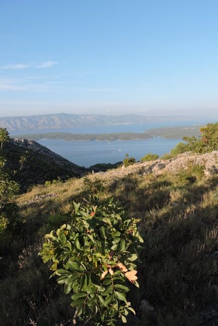 A view across the Kabal peninsula to Brač