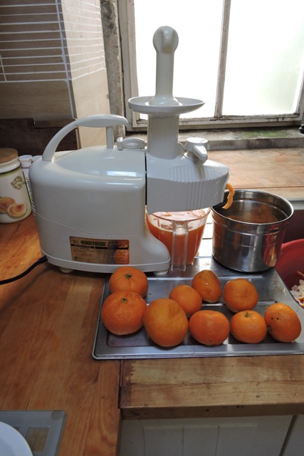 Juicing Mandarin fruit