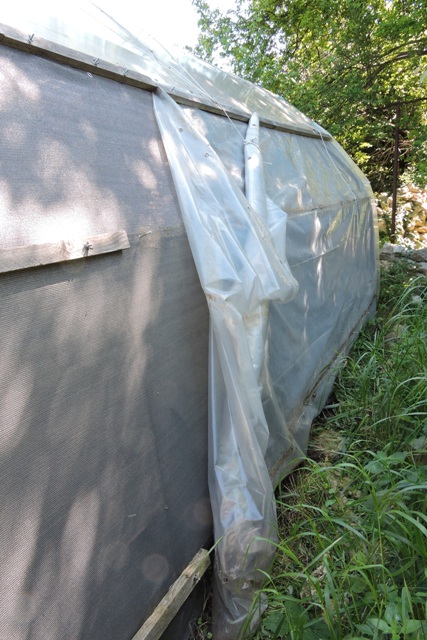 Rolling back the outer plastic on the polytunnel