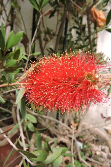 I’m almost there!  –  2024/19