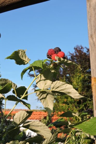 Just an epic failure  –  2024/22