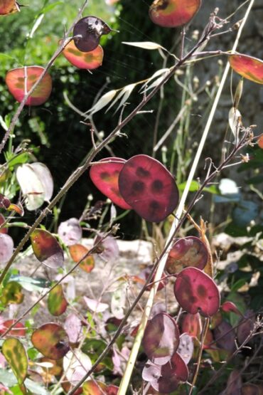 Ten men went to mow  –  2024/23