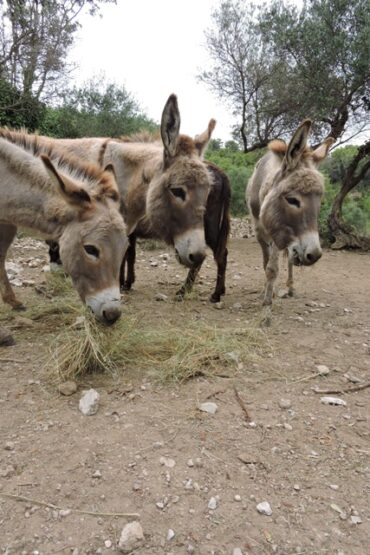 We’re half way through the year  –  2024/26