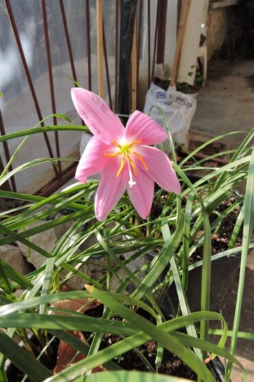 A new chapter has begun  –  2024/30