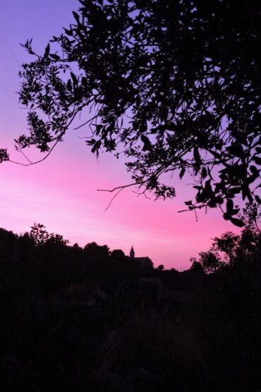 I don’t like August  –  2024/34