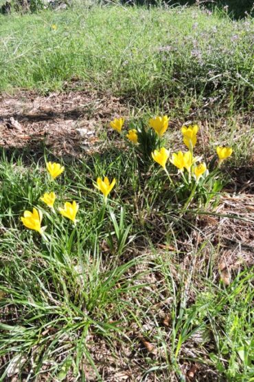 Some missteps this week  –  2024/41