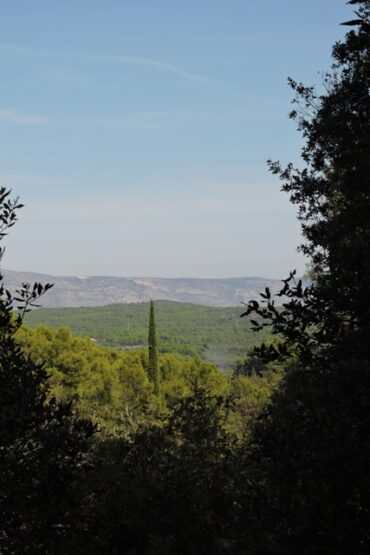 Time for an Autumn clean-up  –  2024/42