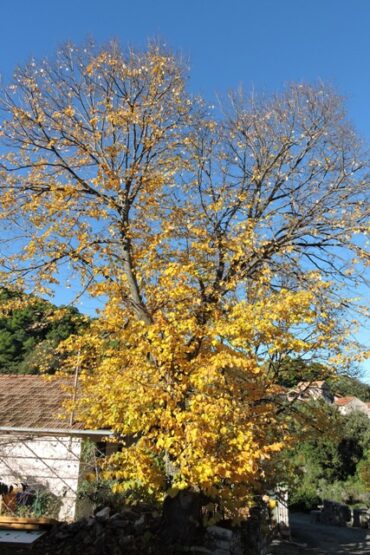 The place where humans fear to tread!  –  2024/47