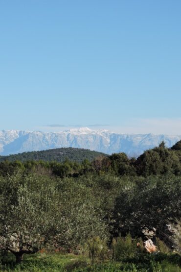 The first snow of winter  –  2024/51