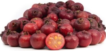 All in the name of love  –  2024/20