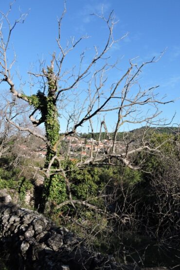 Why won’t it start?  –  2025/03