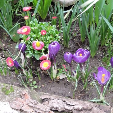 The first day of Meteorological Spring  –  2025/09