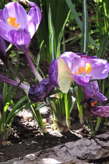 They’re back!  –  2025/10