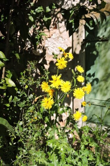 What an awful winter  –  2025/13