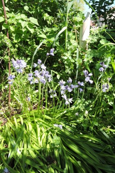 The Spring has sprung  –  2025/14