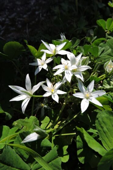 Sometimes things just go wrong  –  2025/15