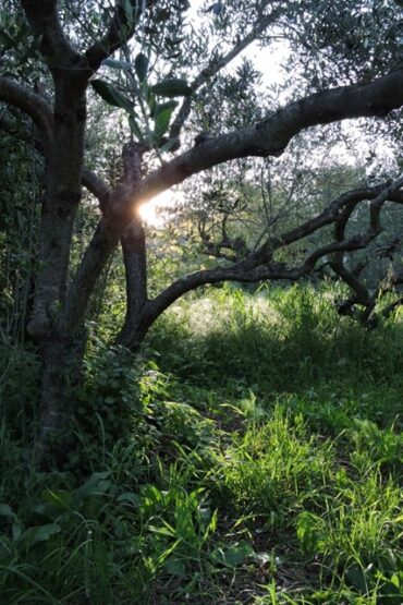 Our weird weather  –  2025/16