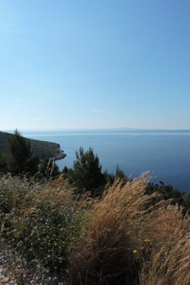 First bite of the season  –  2025/20