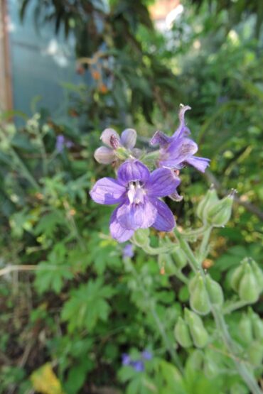 The heat is on  –  2025/24