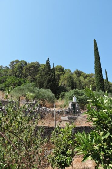 It’s 53.6C!  –  2025/26