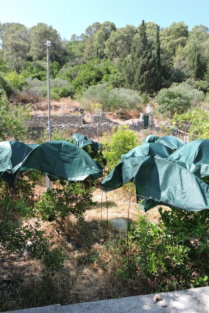 Shade netting installed