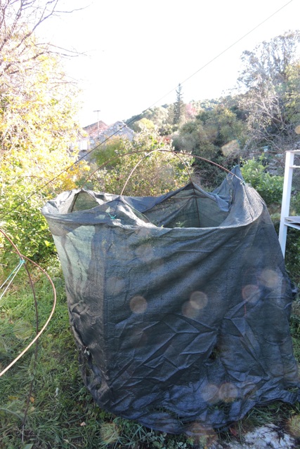 Winter wind protection